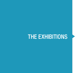 THE EXHIBITIONS